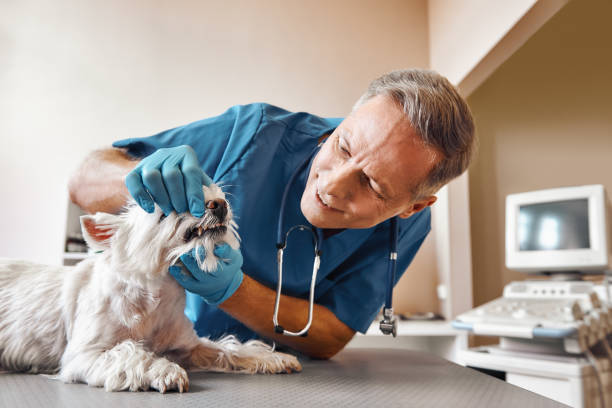 Best Broken Tooth Emergency  in Longview Heights, WA